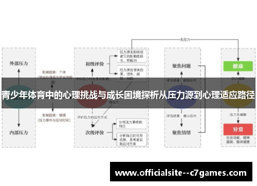 青少年体育中的心理挑战与成长困境探析从压力源到心理适应路径